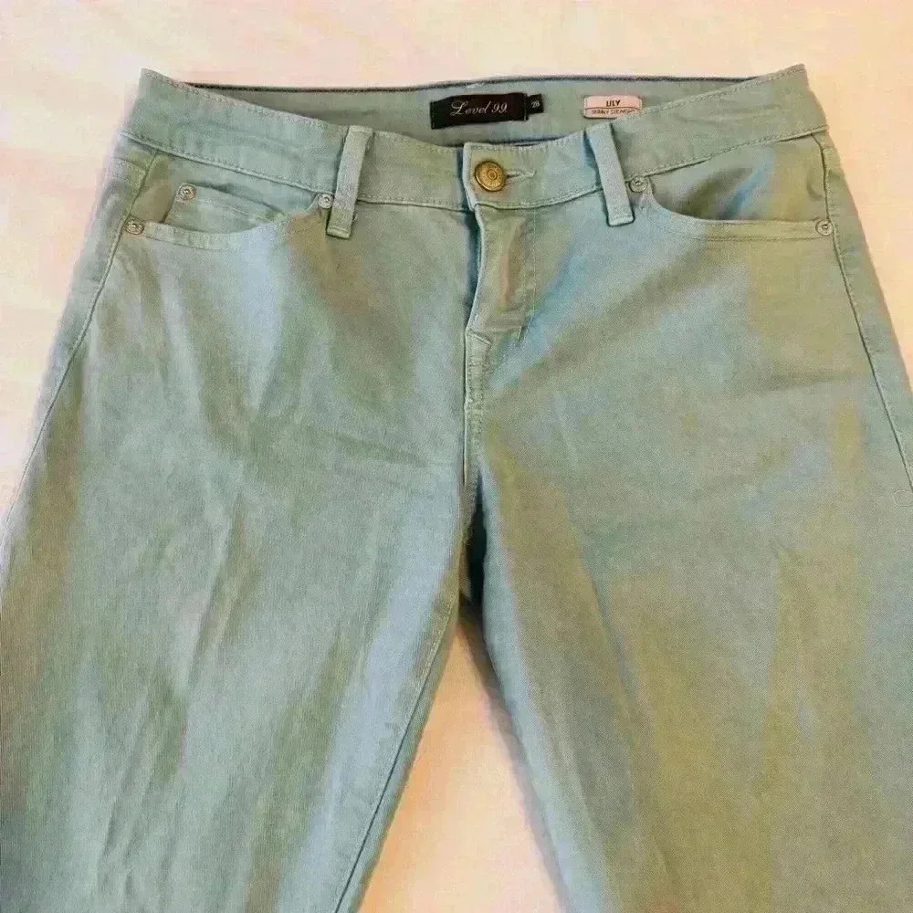 Anthropologie Level 99 womens 27 Lily Skinny Straight mint green pants comfort